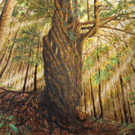 RACINES — L’hommage lumineux d’Ingrid Kaufmann aux géants de la forêt